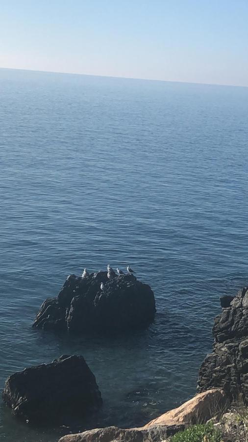 Apartamento Junto Al Mar En Costa Tropical Y Alpujarras Granadinas Melicena Zewnętrze zdjęcie